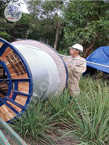 Renovation of South of Saigon 110kV Branch 2 - 2023